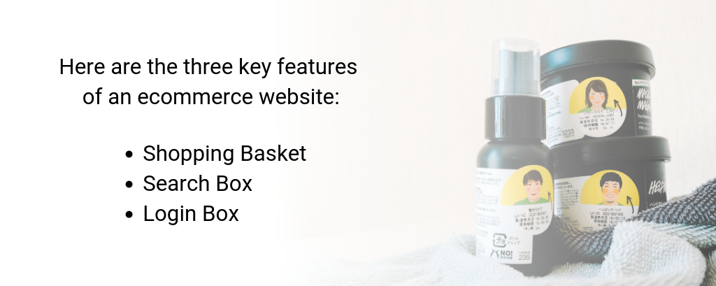 Key Features of Ecommerce Websites